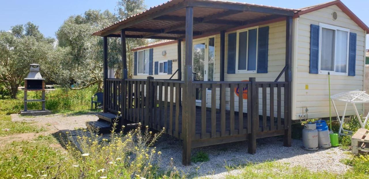 チクラナ・デ・ラ・フロンテーラ Chiclana Mobile House - Piscina , Wi-Fi, Relaxヴィラ エクステリア 写真